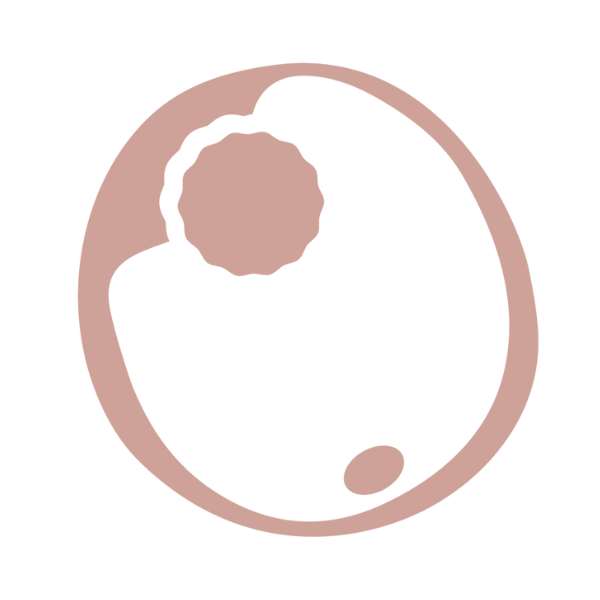 Fase 0 - Toma de Contacto